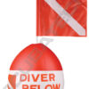 Buoy signal with flag